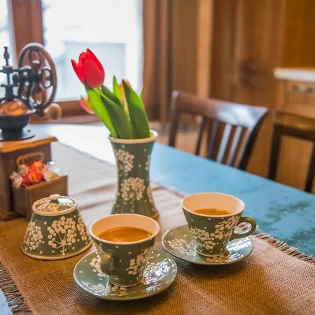 Guest & Peychin / & студио пейчин *