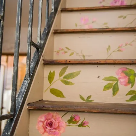 Guest & Peychin / & студио пейчин *