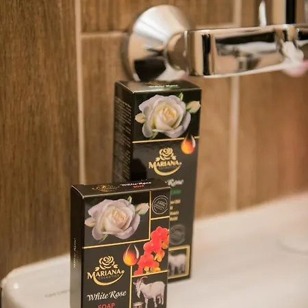 Guest & Peychin / & студио пейчин