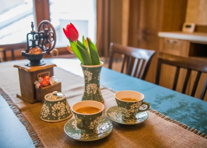 Guest & Peychin / & студио пейчин *