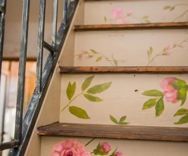 Guest & Peychin / & студио пейчин *