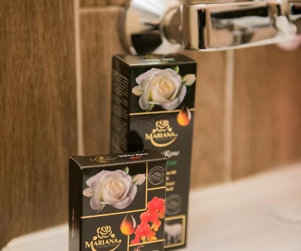 Guest & Peychin / & студио пейчин