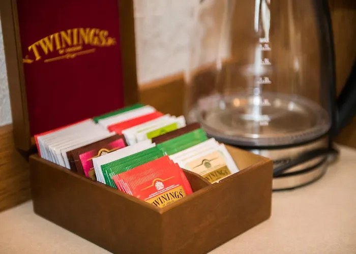 Guest & Peychin / & студио пейчин *